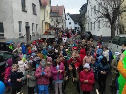 k1600_faschingsumzug3